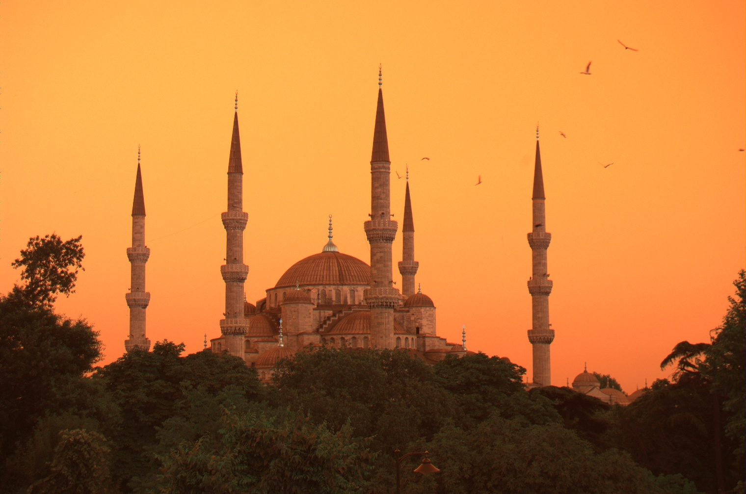Istanbul v oparu