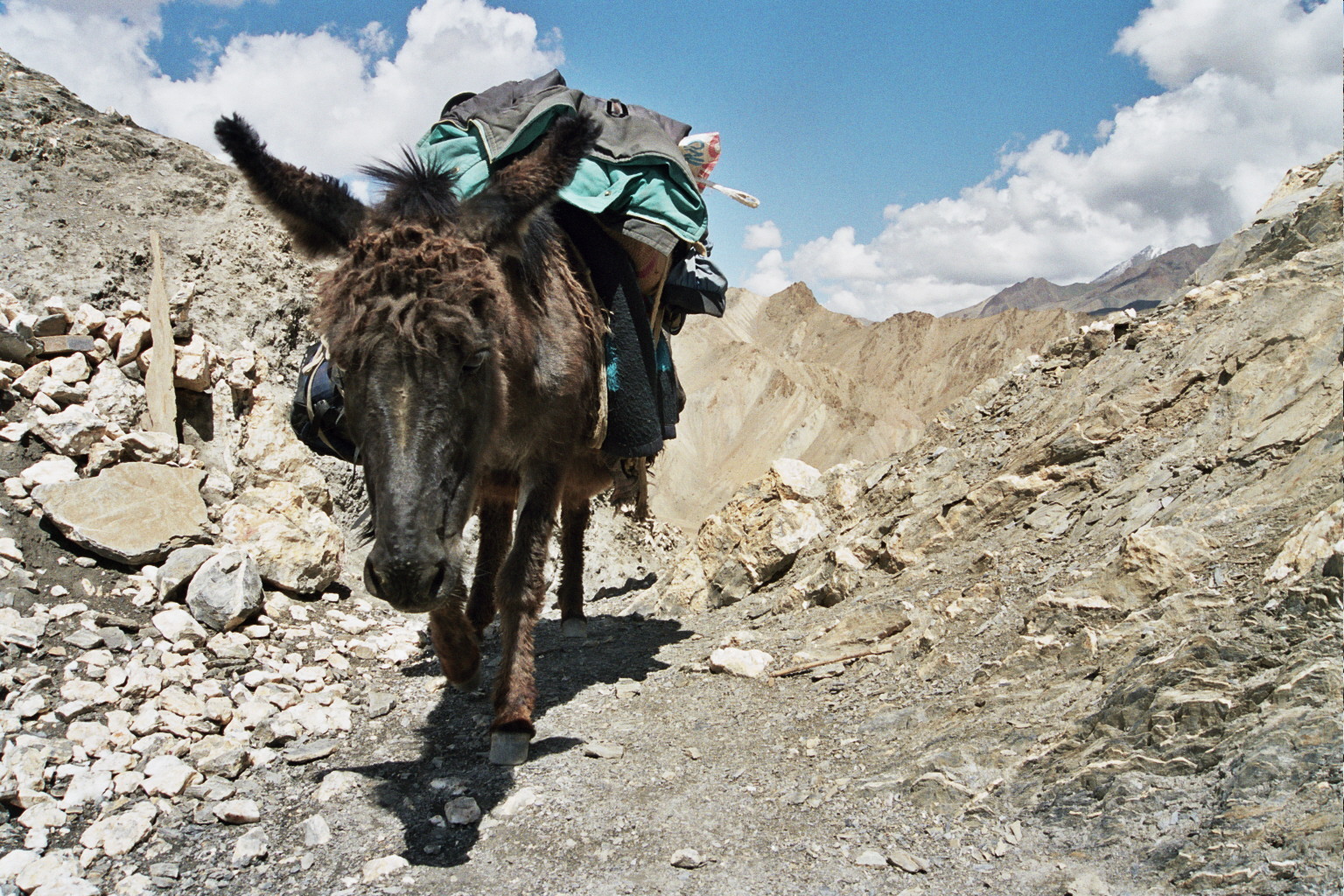 Ladakh