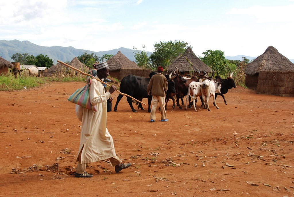 Lidé z etnika Fulani, Kamerun