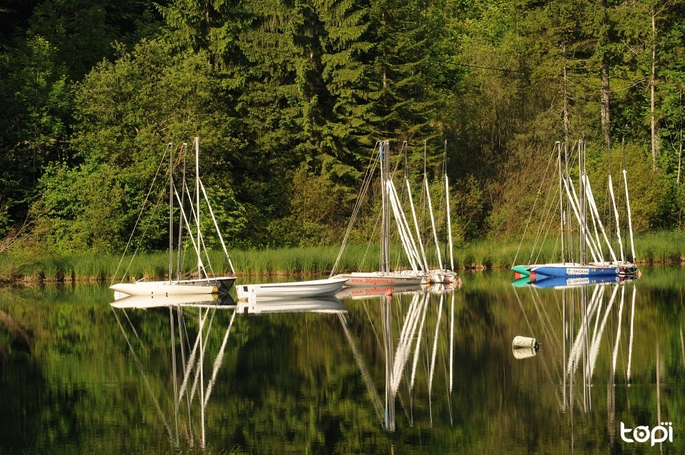 Bohinjské jezero Bohinjské jezero