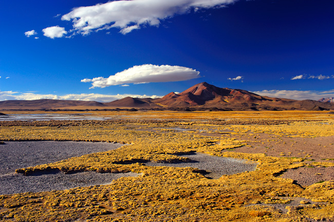 Park Lauca, Chile