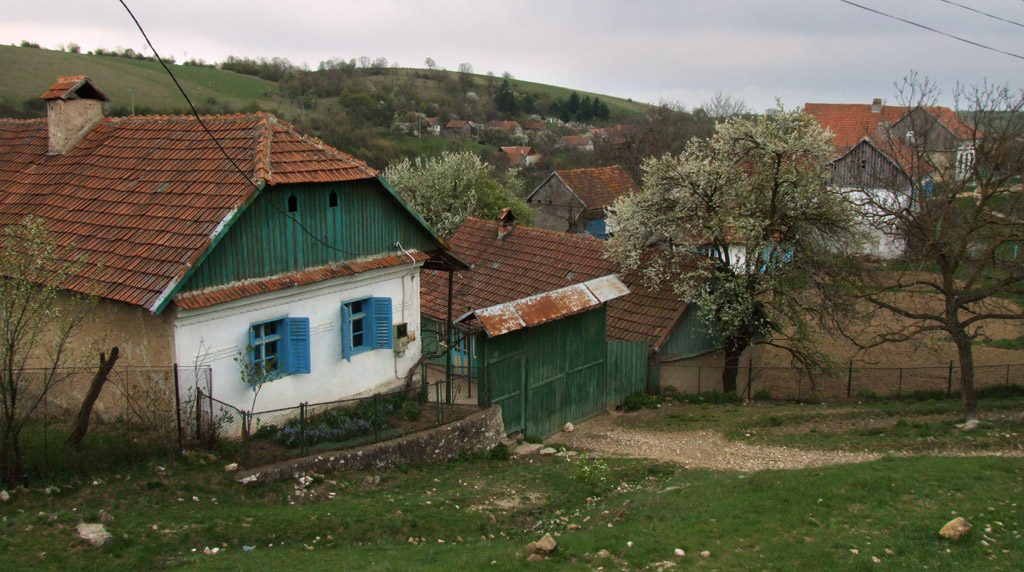 Banát