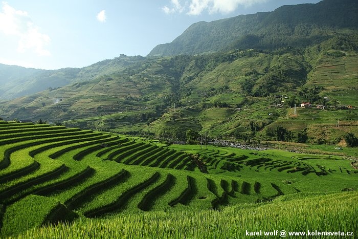 Rýžová políčka kolem Sapy, Vietnam Rýžová políčka kolem Sapy, Vietnam