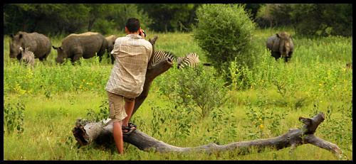perex kalahari perex kalahari