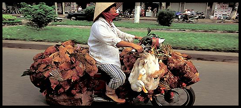 Co uveze vietnamská motorka? Co uveze vietnamská motorka?