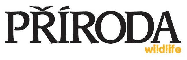 Příroda