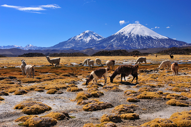 Dvojitá sopka Payachata, Chile