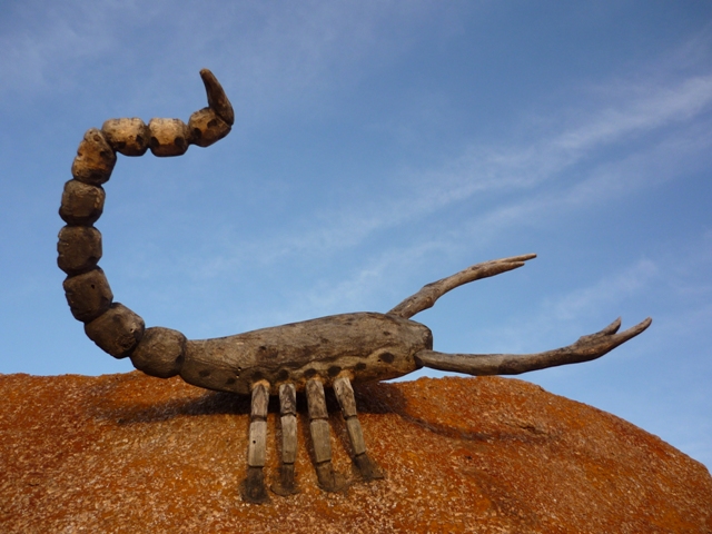 Štír, Naukluft mountains, Namibie