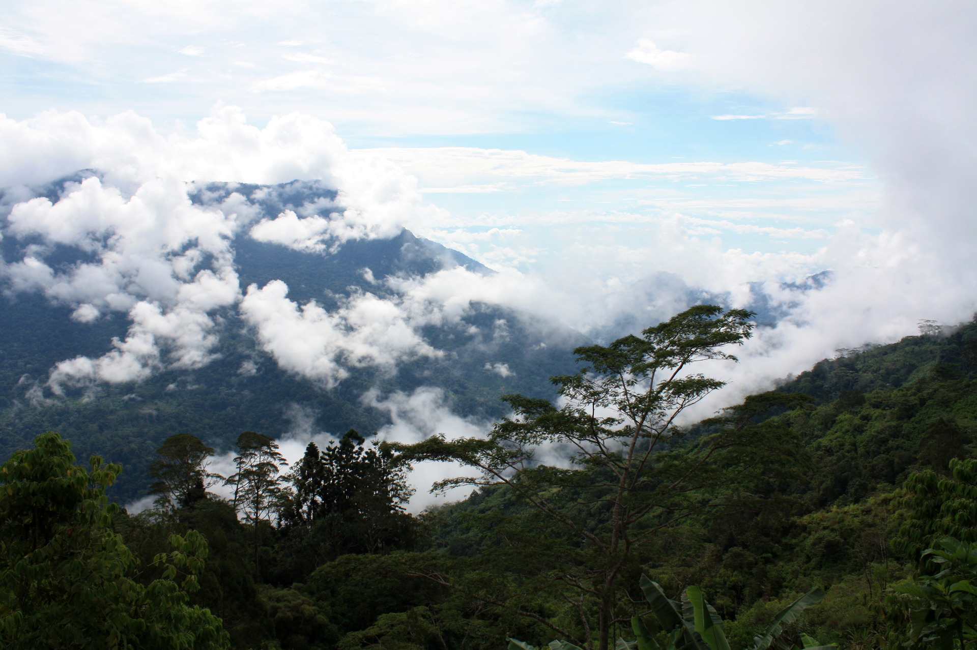 Pohled z Bundi station do údolí, odkud jsme přišli, Papua Nová Guinea