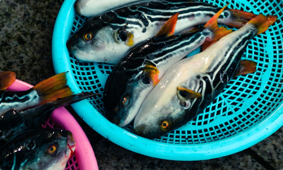 ryby seznamky zdarma kdo je audrina patridge datování 2012