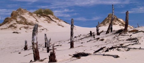 Slowinski park narodowy - polskÃ¡ Sahara na bÅehu Baltu