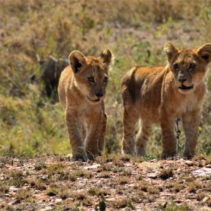 Zvířata zde pozorujeme téměř sami.
