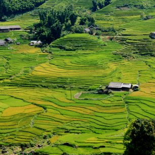 NekonečnNekonečná rýžová pole v horské oblasti Sapa, Vietnamá rýžová pole, Vietnam