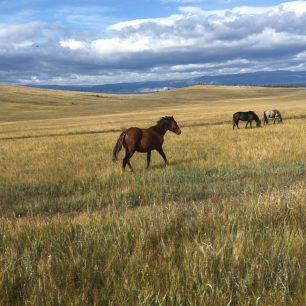 Nedotčená příroda kolem jezera Bajkal