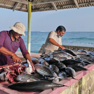 Místní rybář, Thinadhoo, Vaavu atol, Maledivy