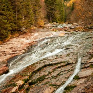 Podzim na Bílém Labi