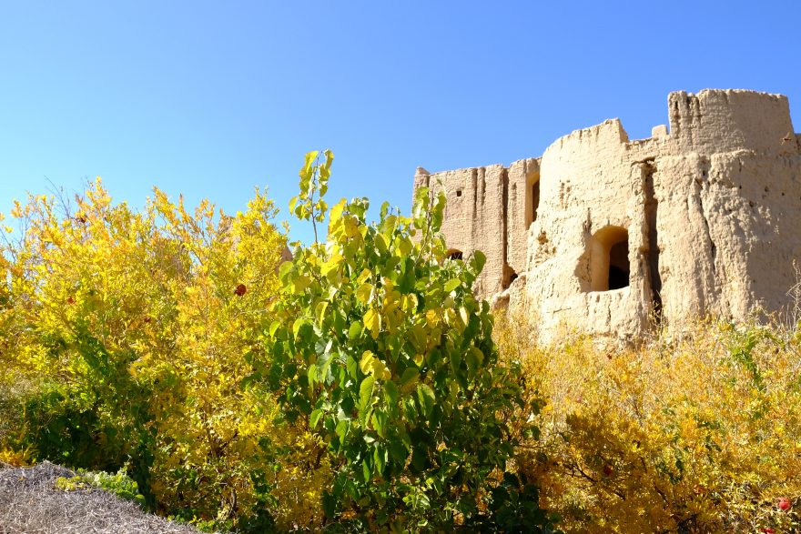 Pohled na zahrady u Charanaqu