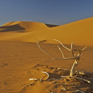 Erg Šigaga nabídne ochutnávku pravé pouště