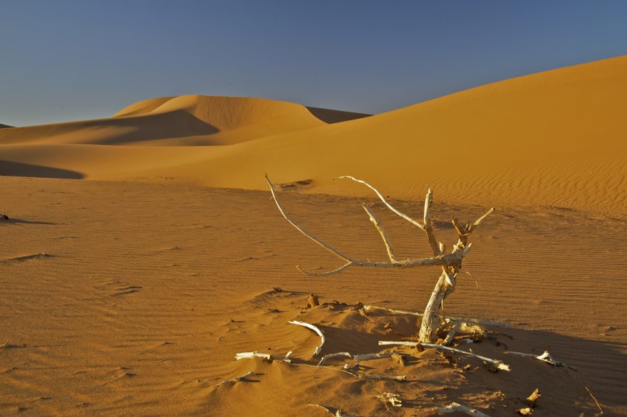 Erg Šigaga nabídne ochutnávku pravé pouště