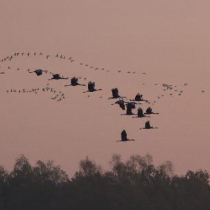 Barycz. Foto Petr Lumpe
