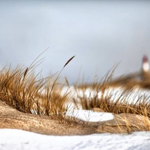 Zimní pobřeží u Syltu. Zdroj www.https://dam.germany.travel/