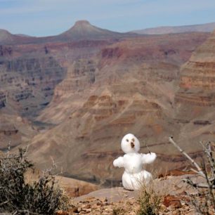 Granite Park - poslední sněhulák v Arizoně