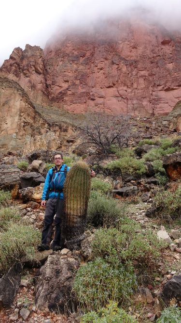Kaktusy, naši průvodci i společníci