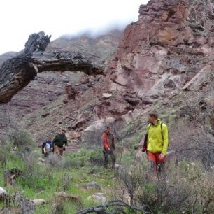 Soutěsky střídají široká zarostlá údolíčka