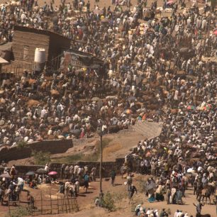 Pohled na davy na zvířecím trhu shromážděné u Lalibely