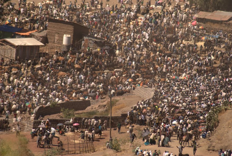 Pohled na davy na zvířecím trhu shromážděné u Lalibely