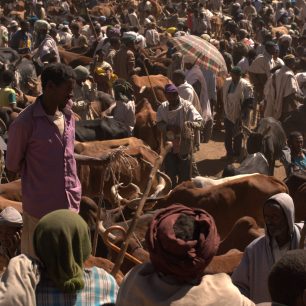 Trhy se zvířaty, Lalibela