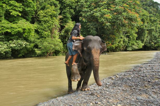 Vesnice Tangkahan v NP Gunung Leuser