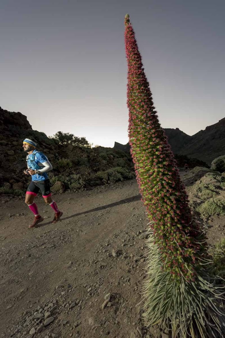 Nejnáročnější závod ostrova: Tenerife Bluetrail. Zdroj: https://www.tenerifebluetrail.com/