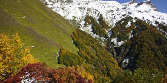ONLINE PŘEDNÁŠKA: Ondrej Kameniar a Kaukazské pralesy nadivoko + bonbónik z Černobyľu