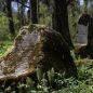 Tallin: ze hřbitovů parky s pozůstatky kaplí a svícnů