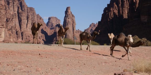 Na skok v Ománu: od šnorchlu přes hory až ke kadidlu