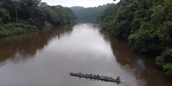 Zprávy z pralesa, Kongo: Proti proudu řeky Dja