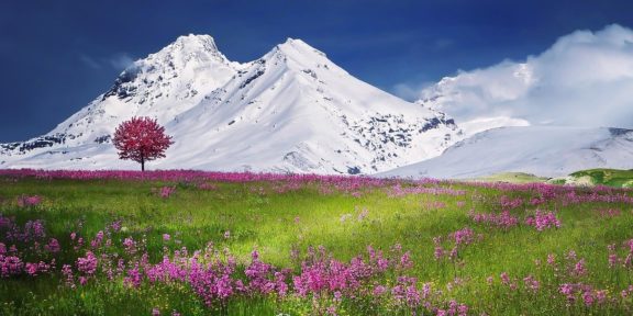 Cestování po Švýcarsku – nákladné, ale nádherné