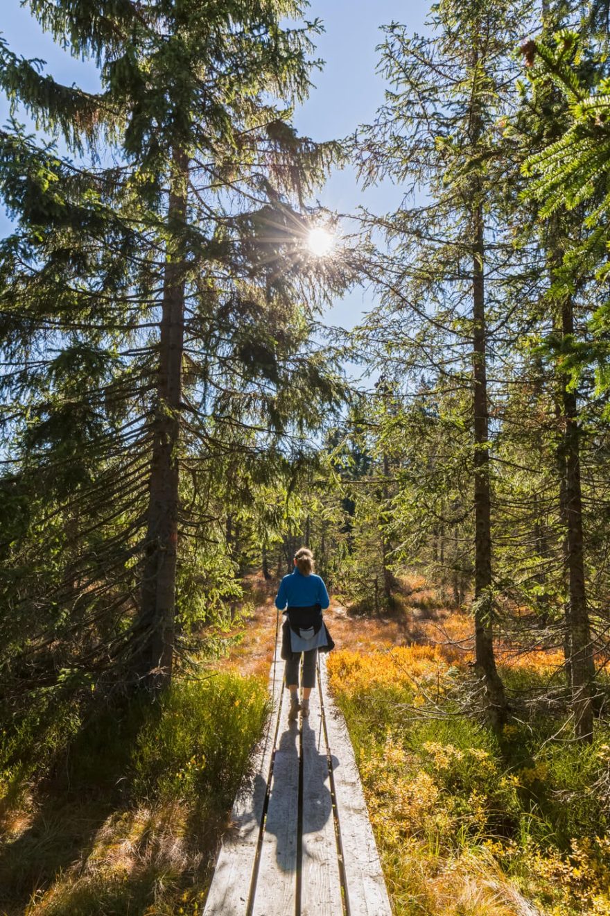 Národní park Bavorský les, Foto Deutsche Zentrale für Tourismus