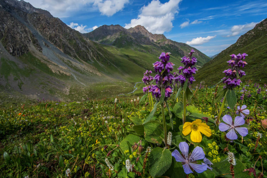 Kyrgyzstán, Foto Arsenij Baljajev