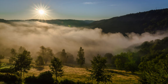 Národní parky Německa: Eifel – bukové lesy, zurčící voda a pastviny