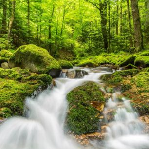 Vodopád Geroldsau, Baden Baden, Schwarzwald, Bádensko-Würtembersko, Foto GNTB