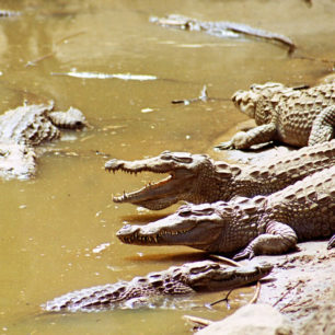 Dogonská kultura, Mali, Foto: Ondřej Havelka