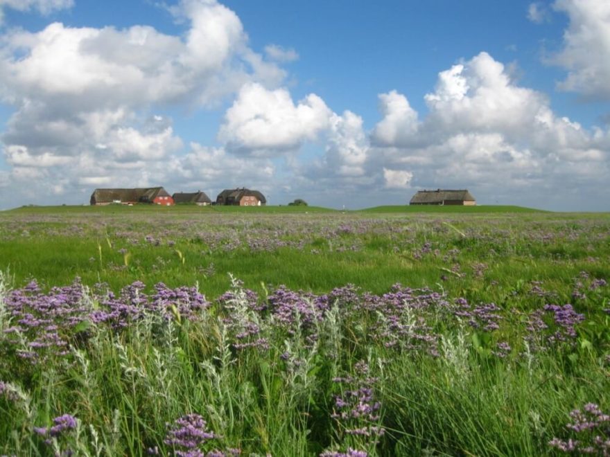 Gröde, Foto Deutsche Zentrale für Tourismus