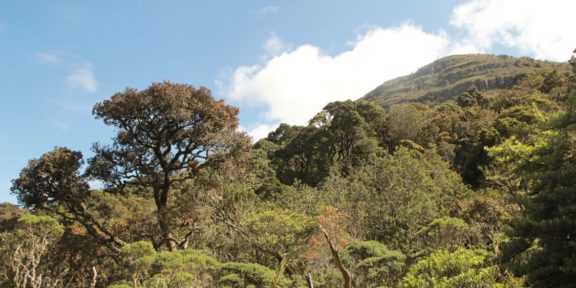 Villa del Leyva: přírodní skvost nedaleko Bogoty