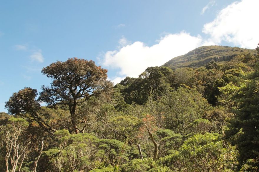 Villa del Leyva, Kolumbie, Foto: Kateřina Petríková