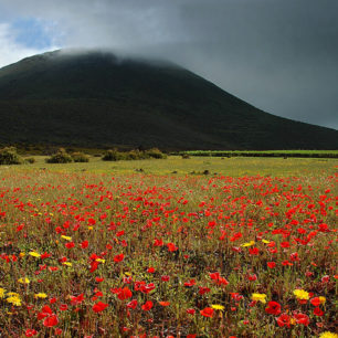 Lanzarote, Kanárské ostrovy, autor: Jaroslav Jindra