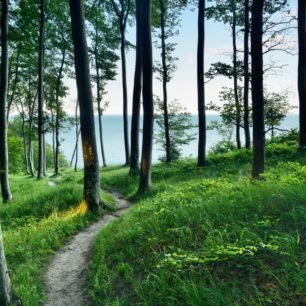 NP Jasmund, starý bukový les pod ochranou UNESCO, autor: GNTB