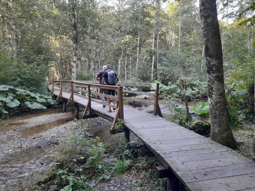 Procházka pralesem, Biogradské jezero, autor: Jan Prokeš