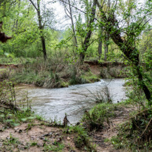 Jedna z nejdůležitějších řek pro Španěle, řeka Guadalquivir, pramení právě v rezervaci La Segura, Sierras de Cazorla, Andalusie, autor: Michal Kroužel